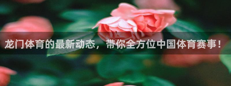 龙门体育的最新动态，带你全方位中国体育赛事！