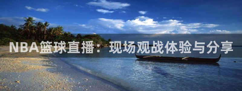 NBA篮球直播：现场观战体验与分享